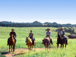 Horseback Riding, 2 Bar 7 Ranch, The CVD