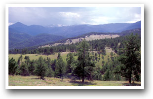 Beautiful view while hiking near Allenspark, Colorado