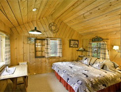 colorado cabin
