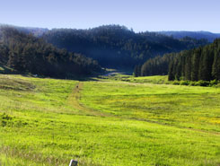 Hiking, Biking, Bailey, Colorado, The CVD