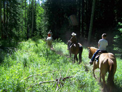 Hoseback Riding, Colorado, The CVD