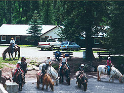 horse rides