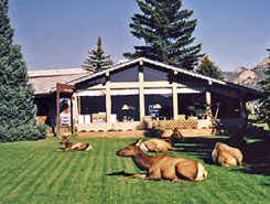 Columbine Inn, Estes Park Colorado, The CVD