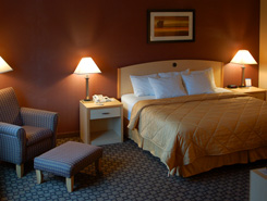 King Size Bed, Comfort Inn - Loveland, Colorado, The CVD
