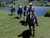 Horseback riding at Cottonwood Cove