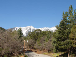Mountain Views at Cutty's Resort, The Colorado Vacation Directory