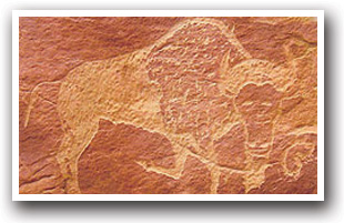 Rangley Petroglyphs, Colorado