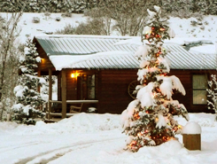 cabins in pagosa springs, Colorado, The CVD