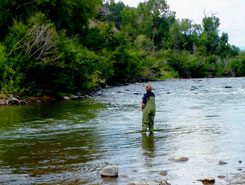 fly fishing, pagosa springs, Colorado, The CVD