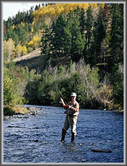 Fly Fishing