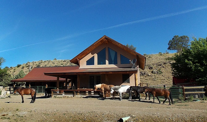 A herd of hourses out front of cabin at Hestar Ranch with Icelandic Horses near Navajo Lake, Colorado