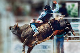 Winter Park, Colorado, Rodeo, High Country Stampede, The CVD