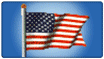 usa flag