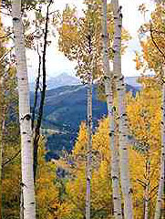 scenic views, Laughing Coyote Lodge, near Dolores Colorado, The CVD