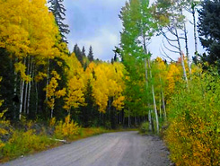 Fall Colors, South Fork, CO, Colorado Vacation Directory