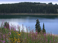 lake on the Grand Mesa, Colorado, The CVD