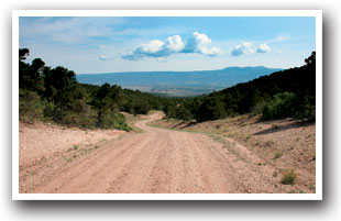 Dirt road inside San Isabel National Forest, Colorado