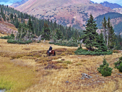 Horseback Riding, mountain pack trips, Leadville Colorado and Vail Colorado, the cvd