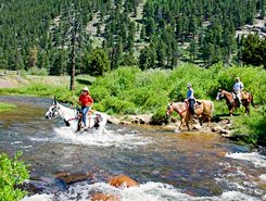 national park gateway stables u amp cowpoke corner corral estes park National Park Gateway Stables 245x185 national park gateway stables u amp cowpoke corner corral estes park National Park Gateway Stables 245x185