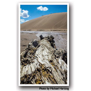 Log in front of the Great Sand Dunes, Colorado, Photo by Michael Hartzog