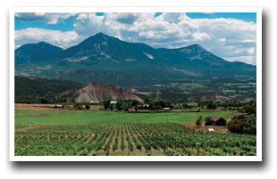 A North Fork Valley Farm with mountain in background in Colorado