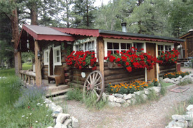 Connie's Mountain Orchid cabins near Buena Vista, Colorado