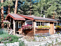 Cabin, Near Chalk Cliffs near Buena Vista, Colorado, The CVD