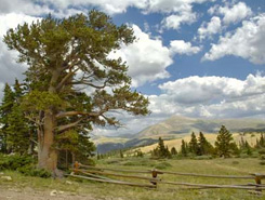Fishing to fish in South Park, Park County, Colorado, The CVD