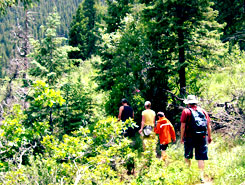 PHOTO DESCRIPTION, Colorado, The CVD
