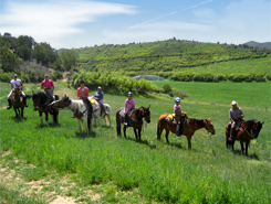 Horseback Riding Porter Ranch, Glenwood Springs, Colorado, The CVD