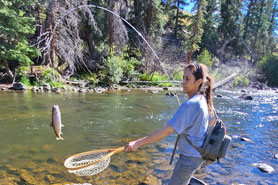 Woman catching and netting rainbow trout caught at the Riverbend Resort Cabins and RV park near the South Fork Colorado area. Catch Your 1st or 1000th Trout. Fishing Steps away from Your Lodging.