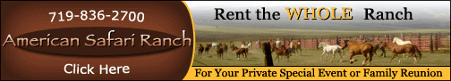 Cabins, Lodge, Tent, RV Camping, Park County, Colorado, The CVD