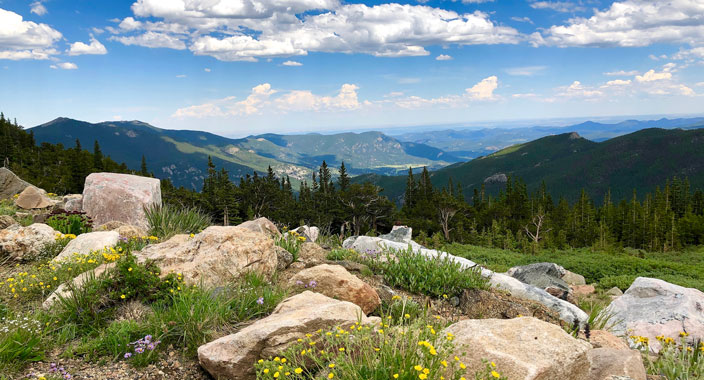 Mountain view with wildflowers in the forground along walking path near rest point on Mount Blue Sky (fka Mount Evans), Colorado.