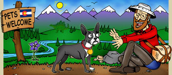 Colorado pet friendly and dogs ok rentals illustration
