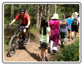 Colorado Mountain Biking Trails