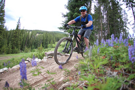 Mountain Biking trail with wildflowers at Copper Mountain Resort, Colorado