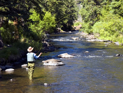 Fishing, South Fork, Rio Grande, Colorado, The CVD