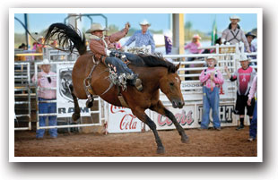 Bronco rider at Logan Country Fair and Rodeo in Sterling, Colorado