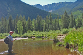 Man fishing in creek with T Bar M Outfitters near Durango, Colorado.