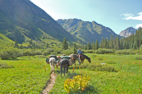 Horses and man on horseback near Emerald Lake. Memorable and scenic horseback excursions in the Rocky Mountains with T Bar M Outfitters near Durango, Colorado.