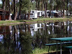 Tall Texan Campground of Gunnison, Colorado, The CVD