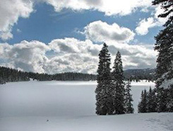 Spruce Lodge