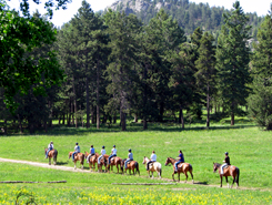 Horse Back rides Poudre River Canyon, Fort Collins Colorado, The CVD