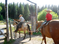 Horses, Ute Lodge, The CVD