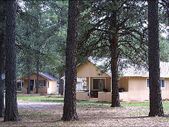 PHOTO description, the cvd