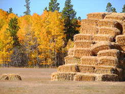 North Park Area, Colorado, The CVD