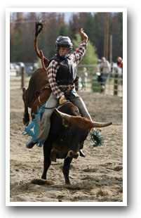 A bull rider at the High Country Stampede Rodeo, Colorado Vacation Directory