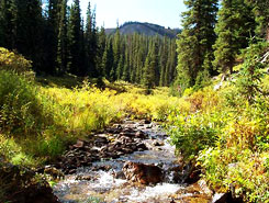 River, Stream, Winter Park, Spring, Summer, Colorado, The CVD