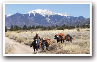Horseback rides on Mosca Pass, Colorado