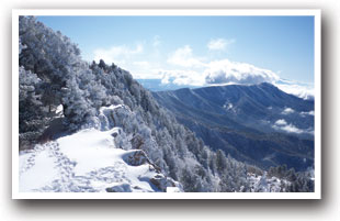 Cross Country Skiing Trail near Angel Fire Ski Resort, New Mexico